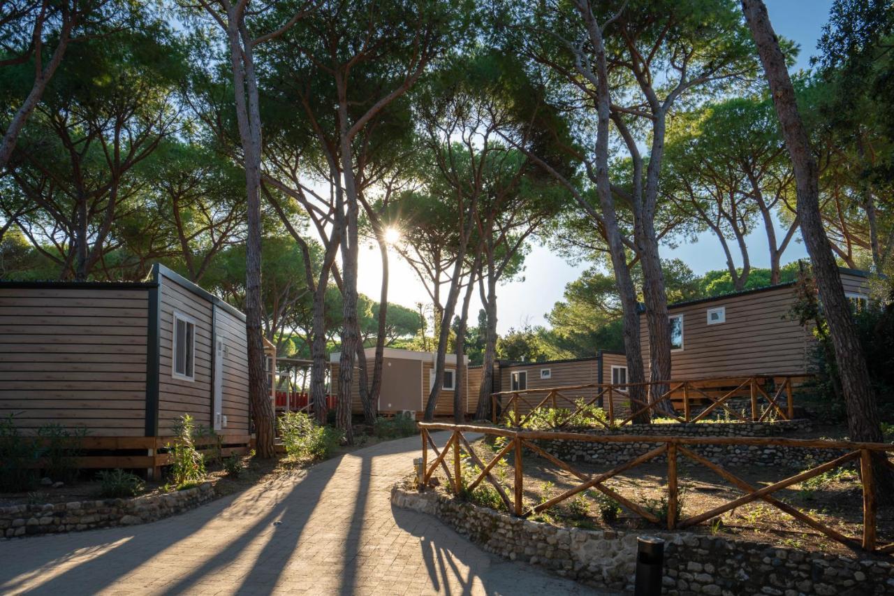 Camping Il Capannino Glamping Village มารินา ดิ บิบโบนา ภายนอก รูปภาพ