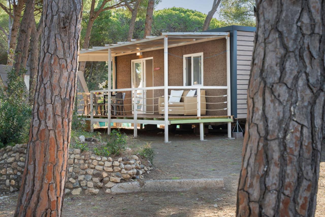 Camping Il Capannino Glamping Village มารินา ดิ บิบโบนา ภายนอก รูปภาพ